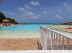 ANSE DES ROCHERS St François CORAIL 306